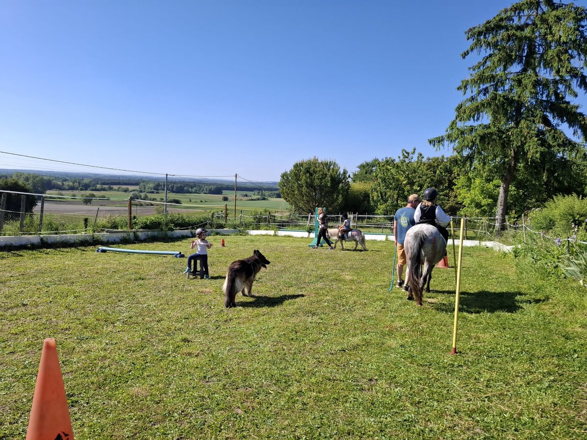 Trot'Glodyte — initiation poney et cheval